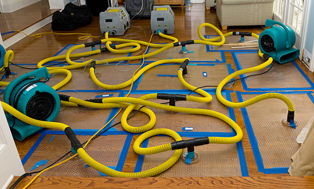 Professional Water Damage Repair technician working in Morrisville, NC